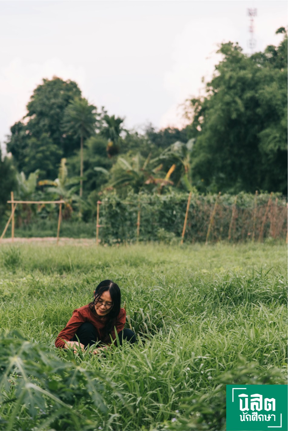 พี่นันท์