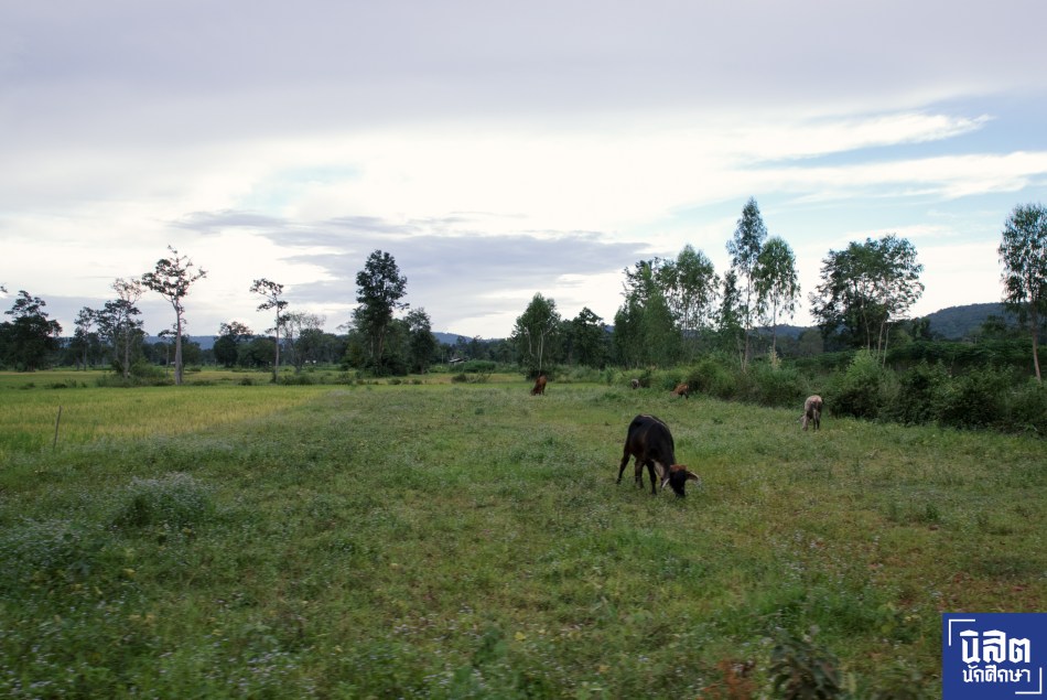 nisitjournal_AmputeeVillage_02