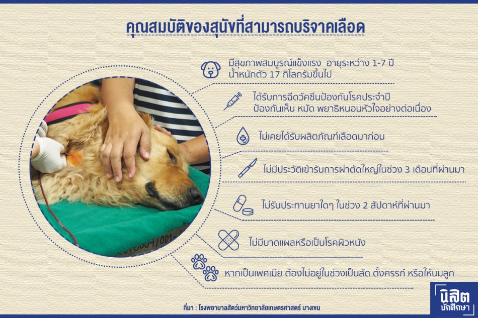 nisitjournal_dogblood01