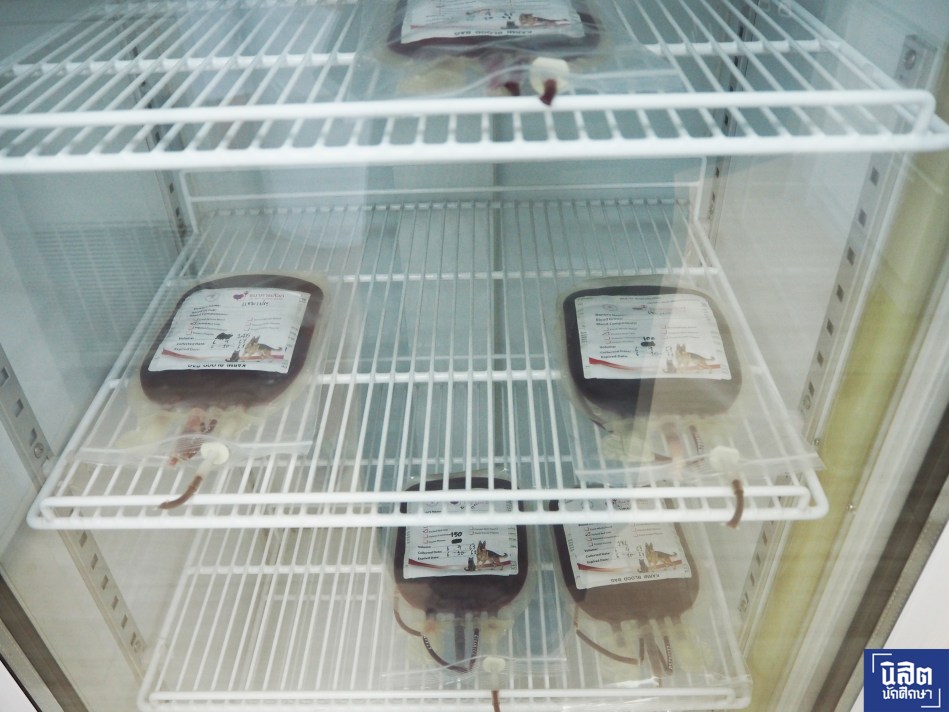 ืnisitjournal_dogblood04