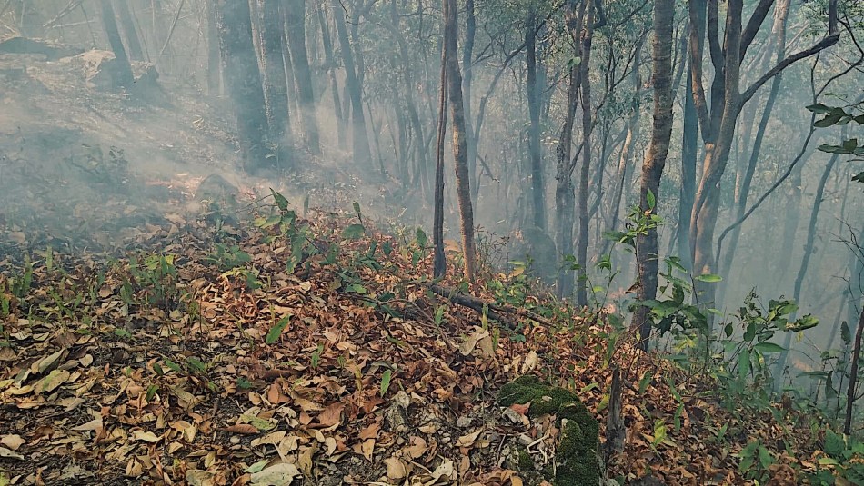 Processed with VSCO with g3 preset