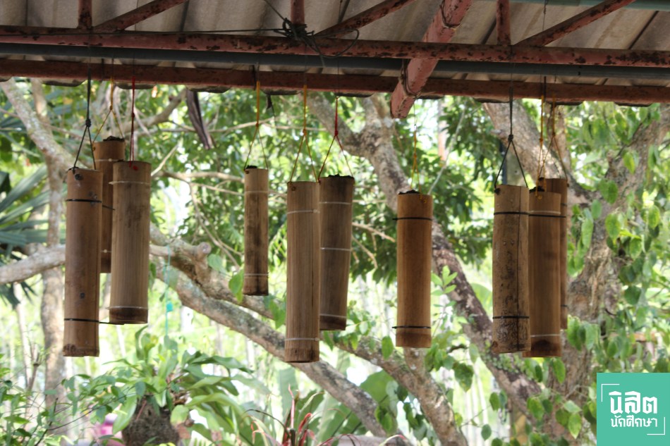 ชันโรง2 WP1