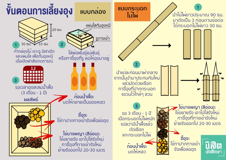 ขั้นตอน 1