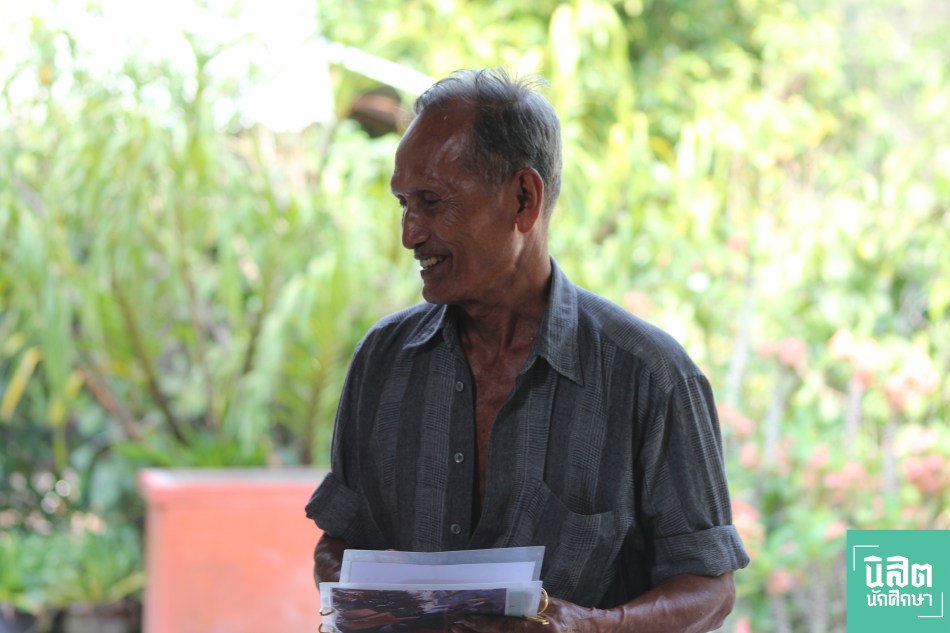 ชันโรง2 WP4